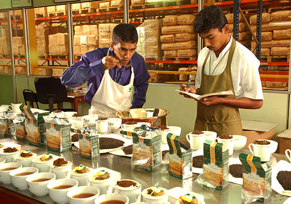 Growing demand for tea across Ahmad Tea’s markets sees new offices open in Colombo, Sri Lanka