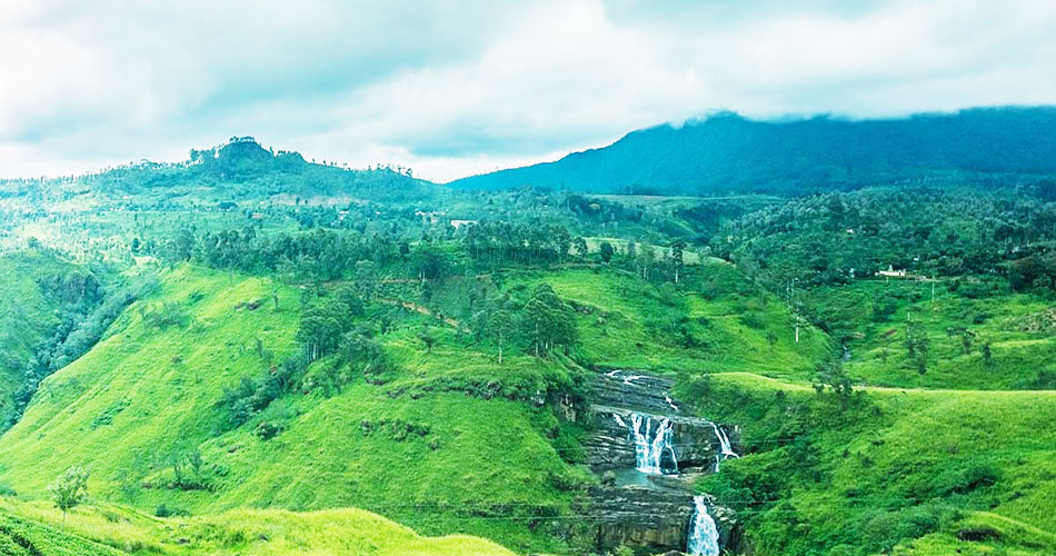 Tea mountain in sri lanka