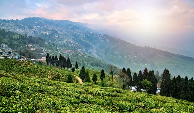 Darjeeling-Hills